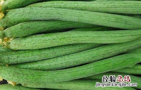 丝瓜无土栽培技术 丝瓜无土栽培技术视频