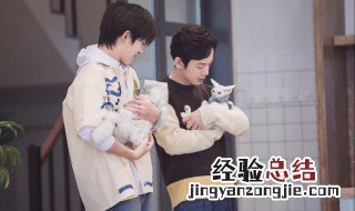 易烊千玺和何炅是什么节目 易烊千玺和何炅是什么节目的
