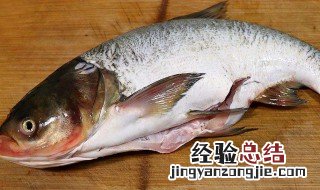 花鲢鱼适合什么人吃 花鲢鱼哪些人不能吃