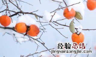 怎么暖柿子又脆又甜 怎么暖柿子又脆又甜又好吃