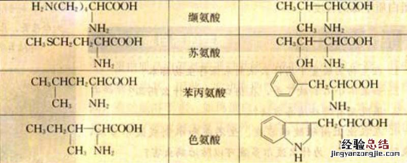 非必需氨基酸有几种口诀 非必需氨基酸有几种