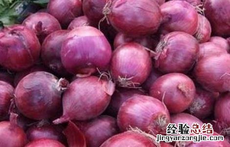 洋葱的主要病害有哪些 洋葱主要有什么病害