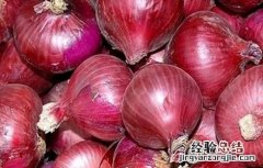 洋葱生长过旺 洋葱生长异常的原因