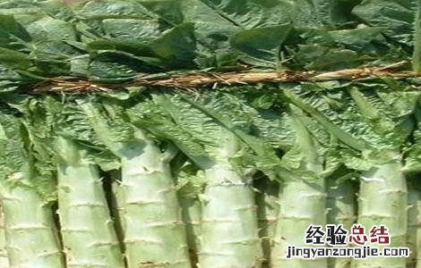 莴笋裂茎的防治 莴笋裂茎的防治措施