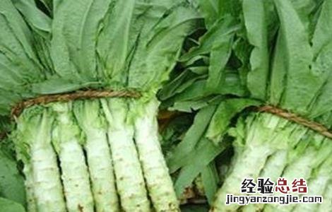 莴笋裂茎的防治 莴笋裂茎的防治措施