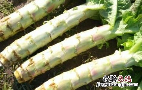 莴笋裂茎的防治 莴笋裂茎的防治措施