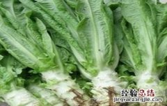 莴笋裂茎的防治 莴笋裂茎的防治措施