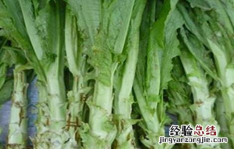 莴笋裂茎的防治 莴笋裂茎的防治措施