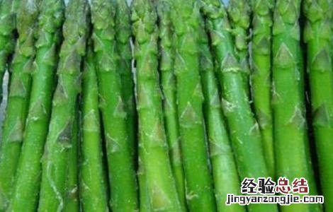 芦笋常见病虫害防治 芦笋的常见病虫害