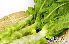 莴笋茎部腐烂的原因 莴笋为什么会裂茎