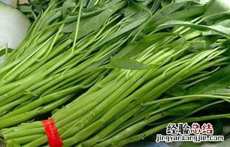 空心菜的无土栽培技术 空心菜无土栽培技术,农村创业项目!