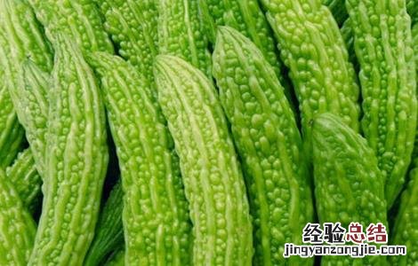 苦瓜常见病害及防治 苦瓜常见病害及防治配药