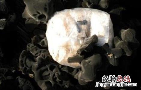 木耳常见病虫害的防治方法 木耳常见病虫害的防治方法视频