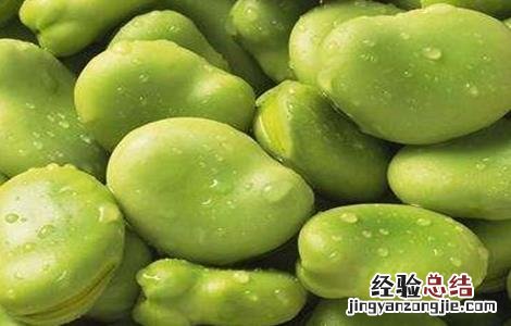 蚕豆的种植方法和时间在家养 蚕豆的种植方法