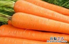 如何防治胡蘿蔔黑腐病