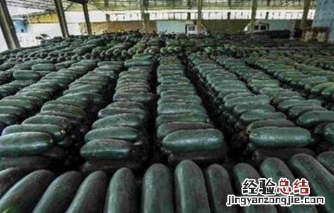 冬瓜不结瓜的原因 冬瓜不结瓜的原因及应对措施