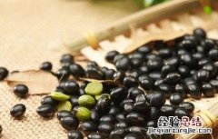 黑豆种植注意事项 黑豆种植注意事项和禁忌