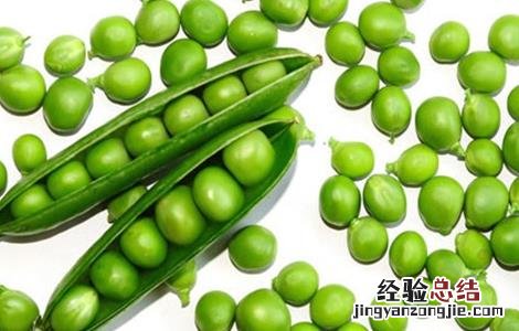 怎样种植豌豆 怎样种植豌豆尖的视频