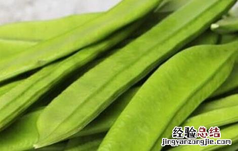 刀豆的种植时间与方法图解 刀豆的种植时间与方法