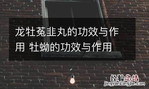龙牡菟韭丸的功效与作用 牡蚴的功效与作用