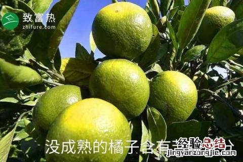 橘子苦是怎么回事 橘子是苦的怎么回事