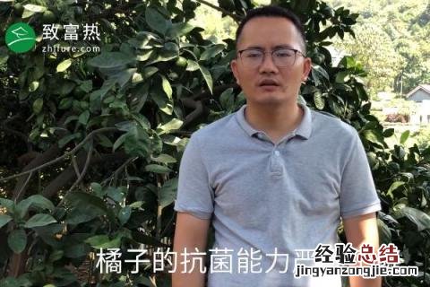 橘子苦是怎么回事 橘子是苦的怎么回事