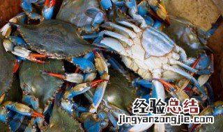 肉蟹冬瓜汤的做法 冬瓜蟹汤怎么做