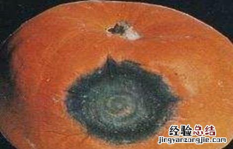 南瓜烂心的原因及防治方法 南瓜烂心的原因及防治方法是什么