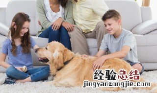 如何解决孩子的叛逆 小孩子叛逆怎么解决