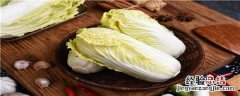 大白菜生长的最低温度是多少? 白菜最低生长温度是多少
