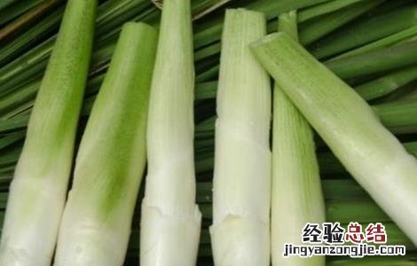茭白的种植技术 茭白的种植技术及视频