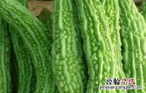 苦瓜怎么种 苦瓜怎么种植和管理