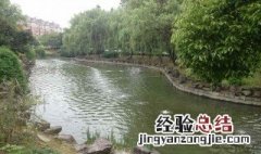 整治污水的措施 污水的治理措施