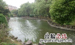 整治污水的措施 污水的治理措施
