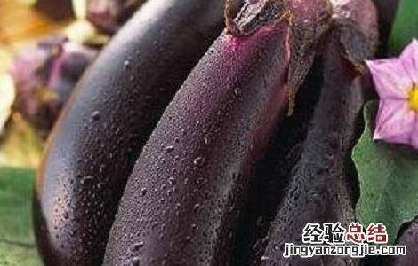茄子种植的注意事项 茄子的栽培技术应该注意哪些