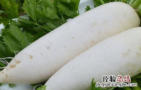 萝卜的种植方法与时间和方法 萝卜的种植方法与时间