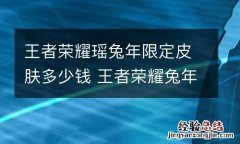王者荣耀瑶兔年限定皮肤多少钱 王者荣耀兔年限定皮肤是几款
