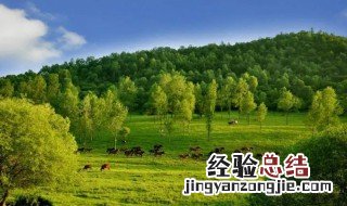 如何保护生态环境20条 如何保护生态环境