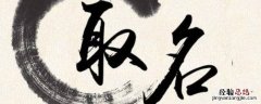 虞字取名的寓意 虞字取名的寓意是什么