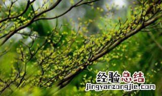 春课文 春课文原文电子版