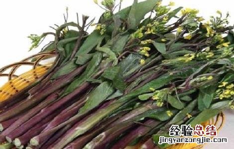 红菜苔的栽培技术 红菜苔的栽培技术与管理