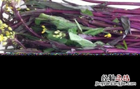 红菜苔的栽培技术 红菜苔的栽培技术与管理