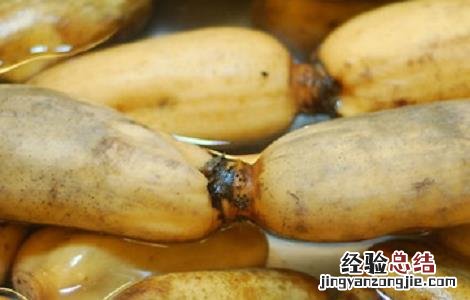 莲藕的种植时间与方法 莲藕的种植时间与方法视频