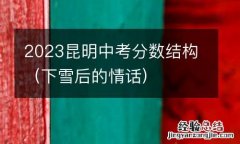 下雪后的情话 2023昆明中考分数结构
