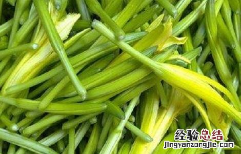 黄花菜移栽时间 黄花菜的种植时间与方法