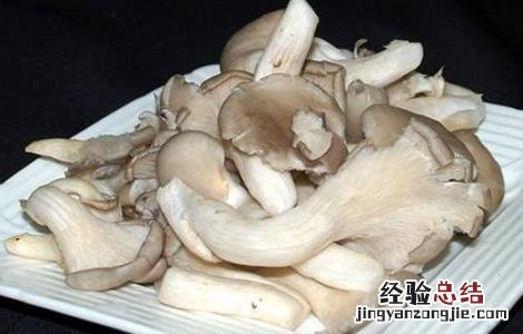 平菇最新栽培技术 平菇最新栽培技术在哪里学