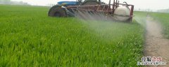 甲霜恶霉灵使用方法 3%甲霜恶霉灵使用方法