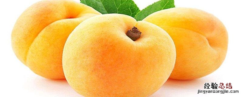 金灿黄桃介绍 金灿黄桃简介