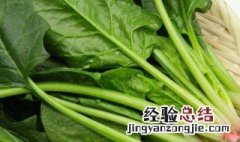 菠菜烩菜苔怎么做 菠菜烩菜的家常做法