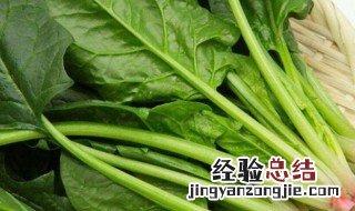 菠菜烩菜苔怎么做 菠菜烩菜的家常做法